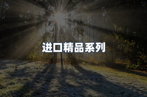 进口精品系列