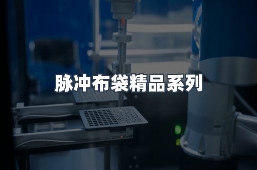 脉冲布袋精品系列
